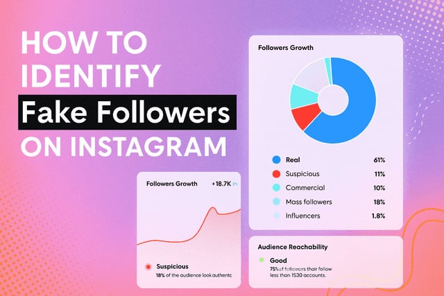 How to Identify Fake Followers on Instagram