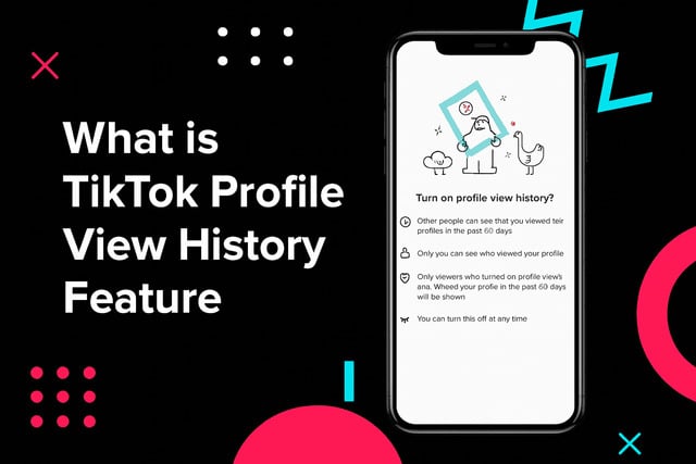 TikTok Profile View History Feature